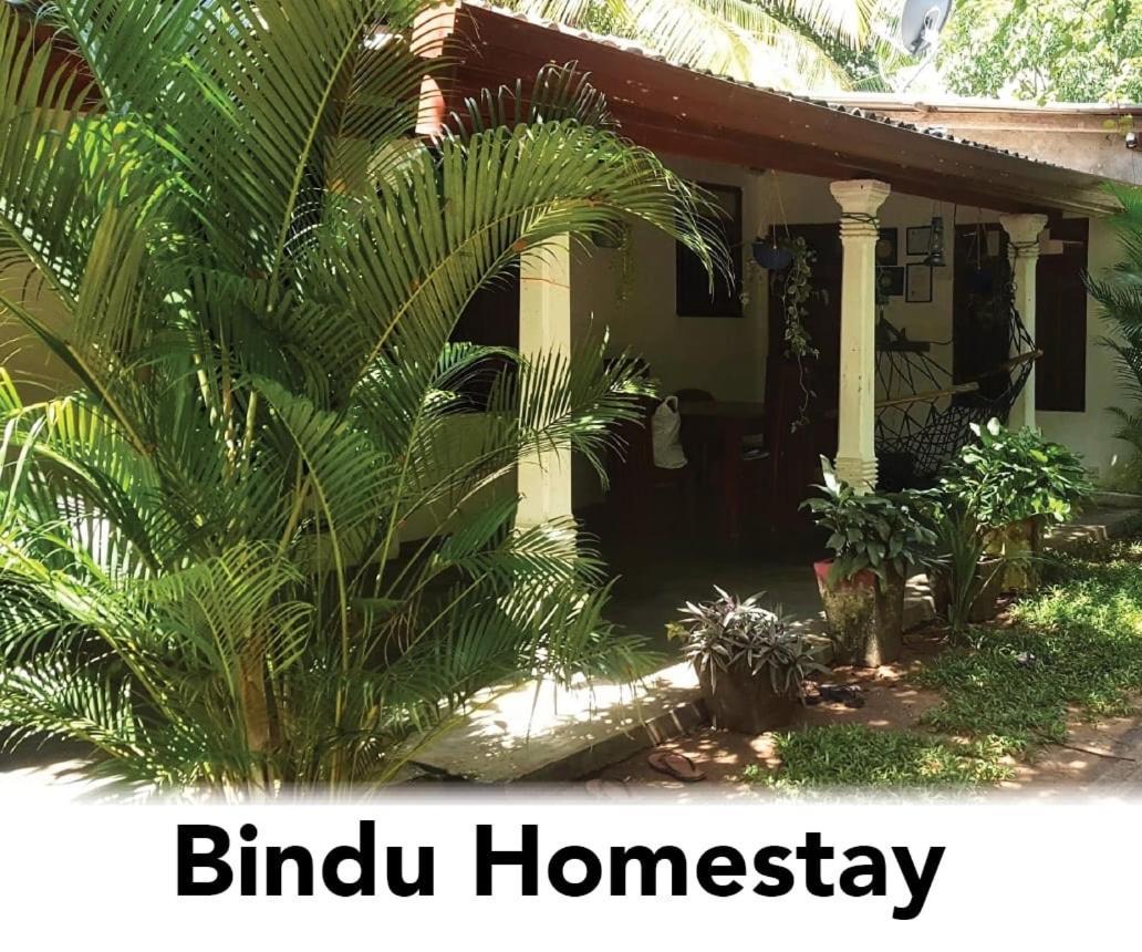 Bindu Homestay Wellawaya Eksteriør bilde